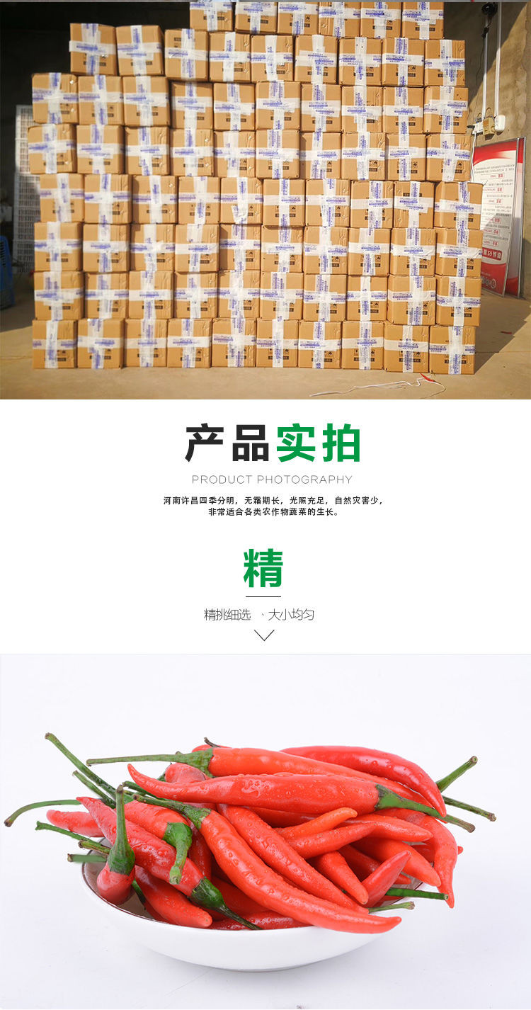 云南 小辣椒【马上涨价】小米椒红辣椒新鲜超辣指天椒剁椒现采