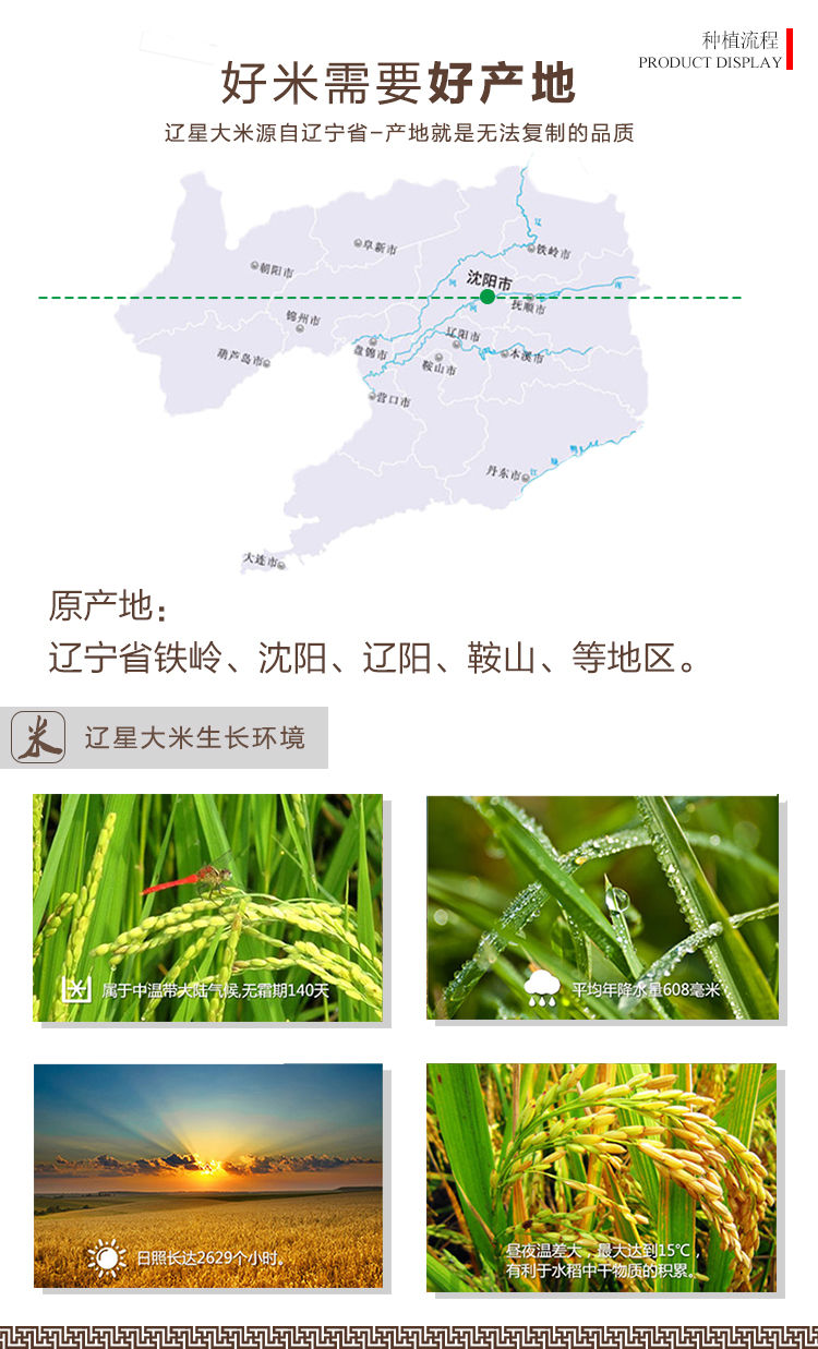 东北大米10斤20斤批发2019年新米辽星白米生态白米农家自产圆粒米