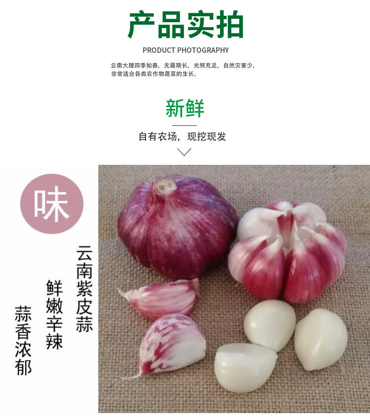 2020云南新鲜紫皮香蒜湿蒜红皮大蒜土蒜山地蒜干蒜农家自种