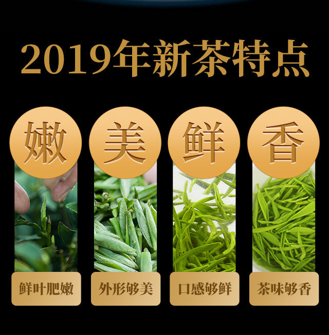  新茶信阳毛尖茶叶绿茶浓香耐泡型500克袋装