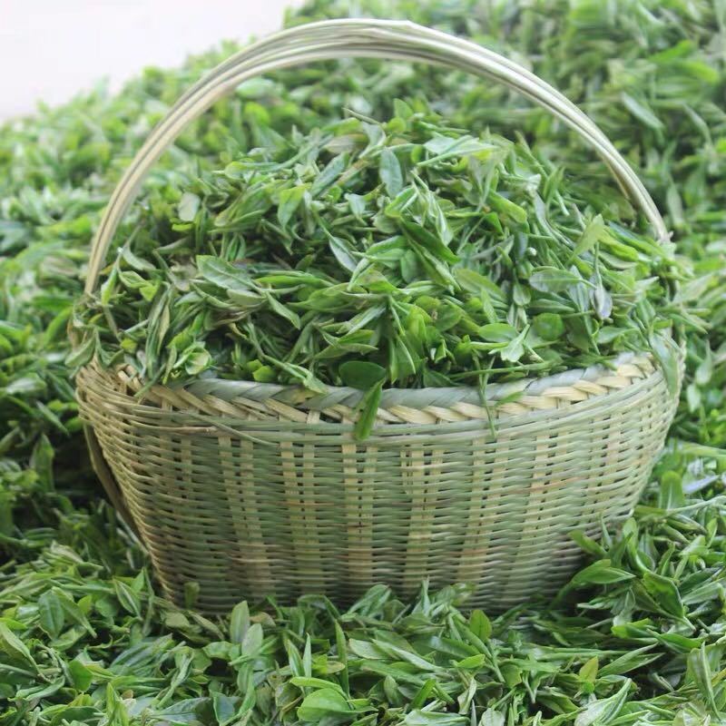 500g信阳毛尖茶叶日照绿茶浓香耐泡,包邮