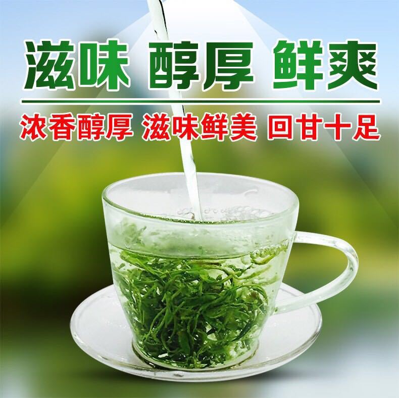 500g信阳毛尖茶叶日照绿茶浓香耐泡,包邮