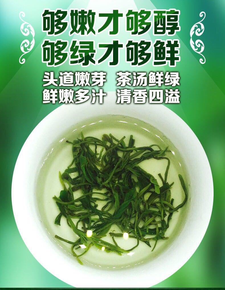 500g信阳毛尖茶叶日照绿茶浓香耐泡,包邮