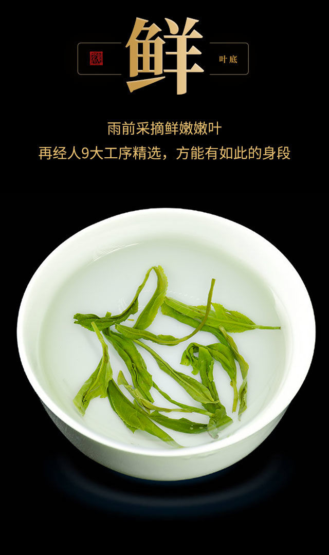  新茶信阳毛尖茶叶绿茶浓香耐泡型500克袋装