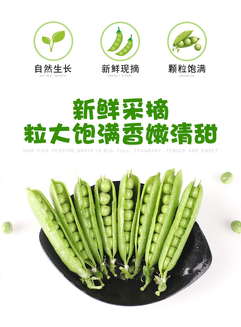 云南豌豆荚新鲜蔬菜类农家自种带壳大青豆荷兰甜豆角3/5/10斤包邮