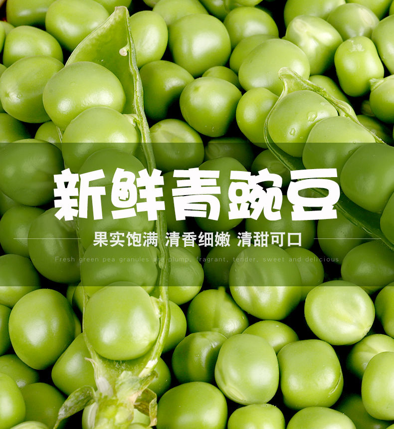 云南豌豆荚新鲜蔬菜类农家自种带壳大青豆荷兰甜豆角3/5/10斤包邮