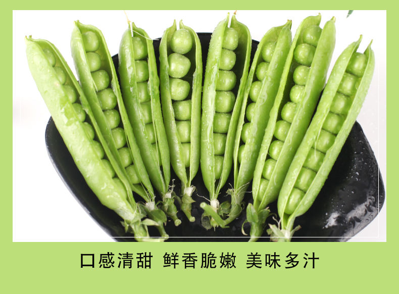 云南豌豆荚新鲜蔬菜类农家自种带壳大青豆荷兰甜豆角3/5/10斤包邮