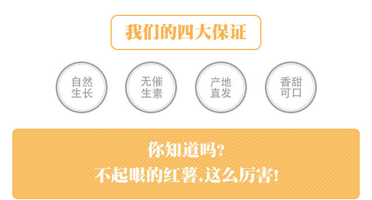 【粉糯香甜】新鲜现挖黄心蜜薯红薯地瓜番薯黄红白心超甜糖心