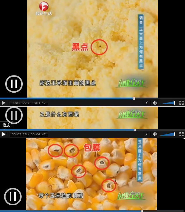 粗细玉米面东北新粮纯玉米粉苞米面发糕窝窝头玉米面粉杂粮煎饼面