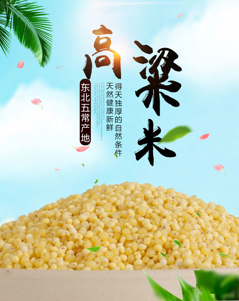 东北粘大黄米5斤农家粘糯大黄米黄小米包粽子米粘米饭米新米黍米