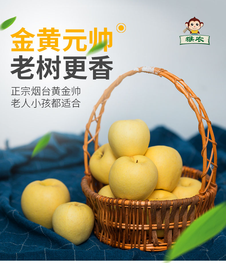 山东烟台黄元帅苹果黄金帅粉面苹果整箱新鲜水果3/5斤应季水果