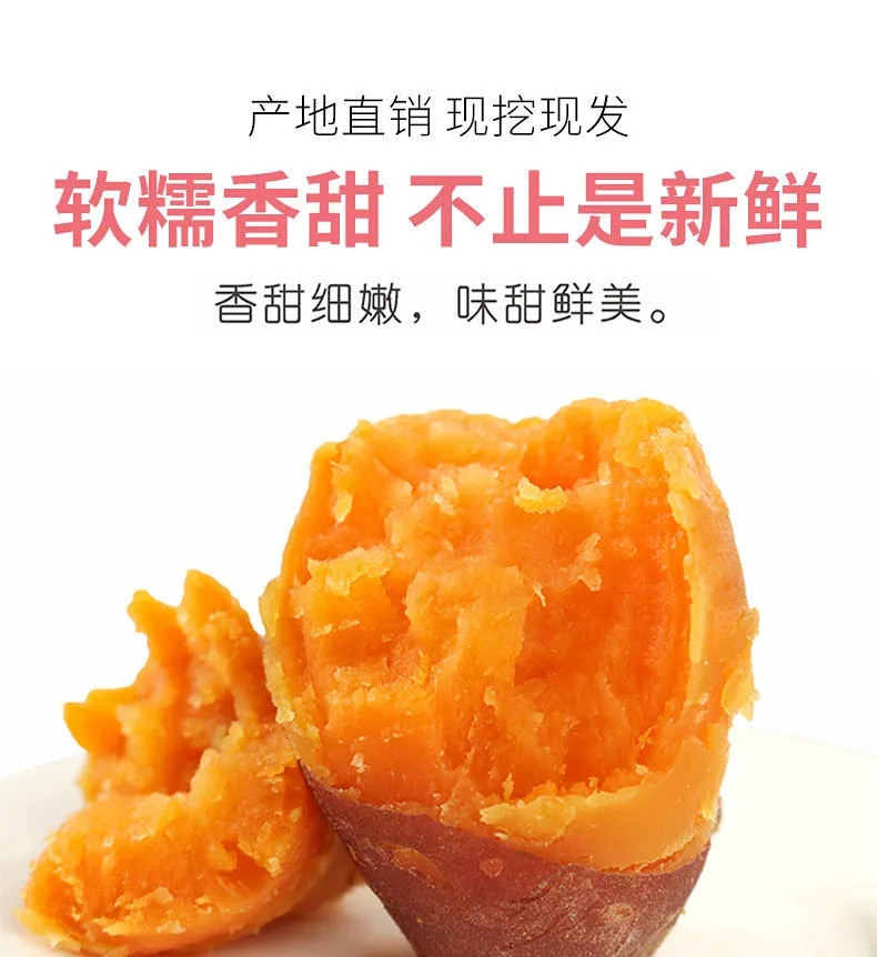 【沙地香甜粉糯】农家红薯新鲜番薯板栗地瓜蜜薯蔬菜批发2-10斤