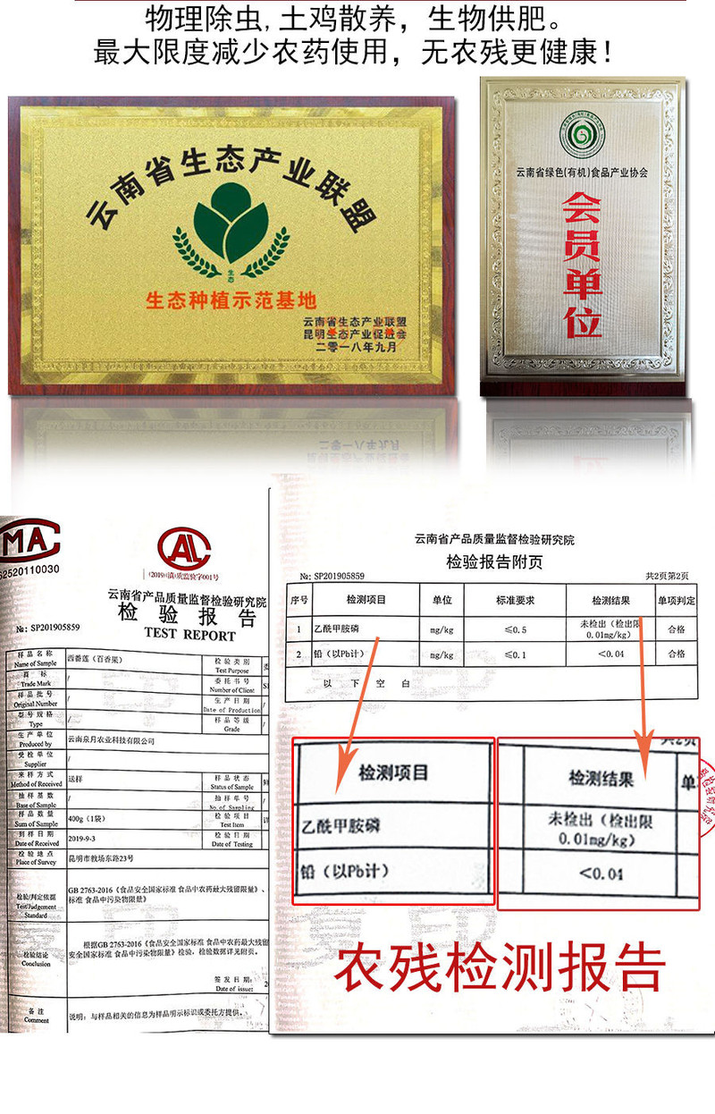 正宗超甜云南百香果鲜果【泉月云果】新鲜水果基地种植品质保证批发价格