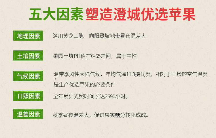 10斤装【自家果园-精选大果】新鲜苹果陕西红富士苹果非丑苹果糖心苹果当季水果整箱批发正宗洛川苹果