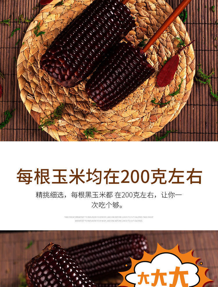 【冲量疯抢】20年10棒东北新鲜黑糯玉米黏粘8根2/4棒真空甜糯玉米粗粮代餐包装
