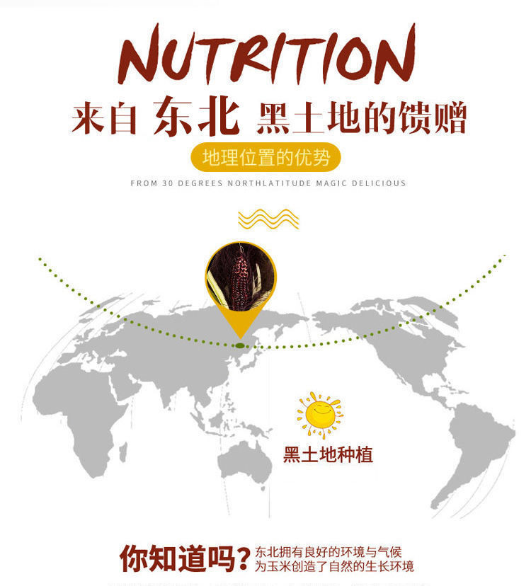 【冲量疯抢】20年10棒东北新鲜黑糯玉米黏粘8根2/4棒真空甜糯玉米粗粮代餐包装