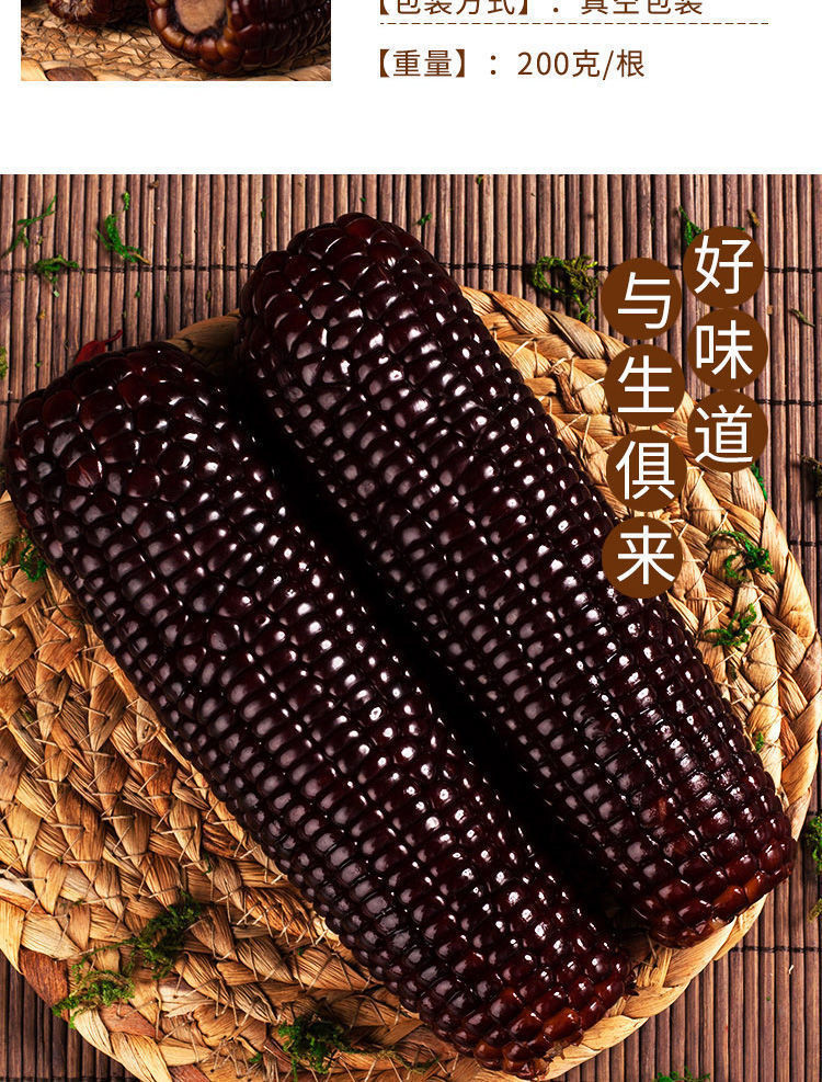 【冲量疯抢】20年10棒东北新鲜黑糯玉米黏粘8根2/4棒真空甜糯玉米粗粮代餐包装