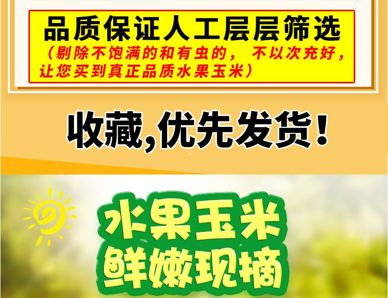 【10斤马上抢】现摘云南水果玉米新鲜生吃甜玉米棒甜脆甜嫩多汁3/5斤包谷真空包装新鲜现摘现发包邮