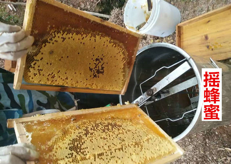 保证正宗农家自制-不得错过好货-农家蜂蜜纯正天然农家自制山花蜜洋槐百花蜜自家养土蜂蜜峰蜜野生