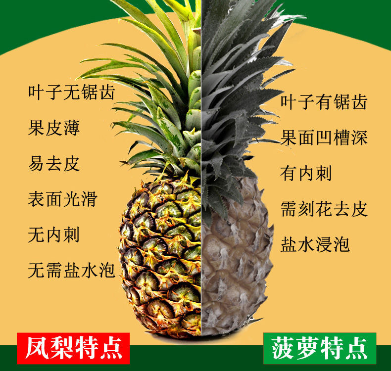 【顺丰包邮】海南金钻凤梨 无需沾盐水 当季时令热带菠萝水果新鲜