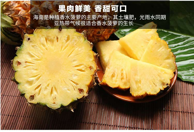 【10斤特惠】海南新鲜大菠萝10斤装/5斤/2个手撕菠萝凤梨新鲜水果