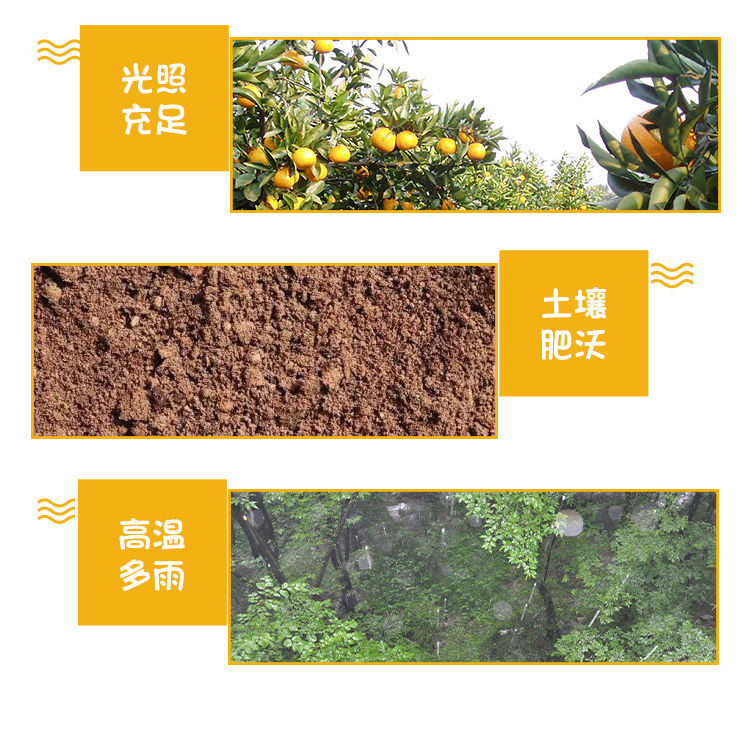 【小编推荐】糖水黄桃罐头510gX2/4瓶新鲜水果冰糖桔子雪梨罐头混装批发价包邮什锦罐头