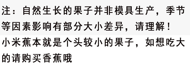 【早上砍下午发】正宗广西小米蕉10斤新鲜香蕉当季水果发青果5/1斤