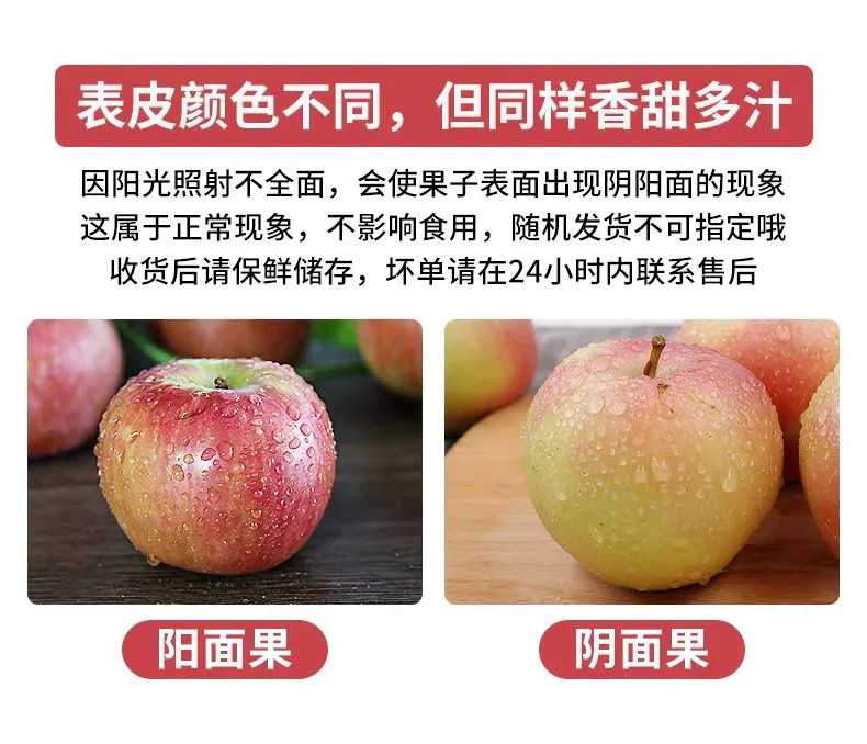 陕西嘎啦苹果带箱10/5/3斤当季新鲜现摘水果脆甜非冰糖心红富士