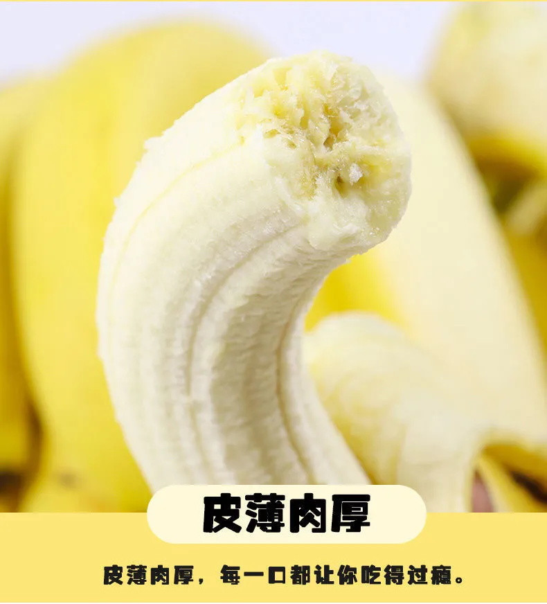 自然熟云南高山甜香蕉当季新鲜水果现摘现发整箱10斤批发非小米蕉