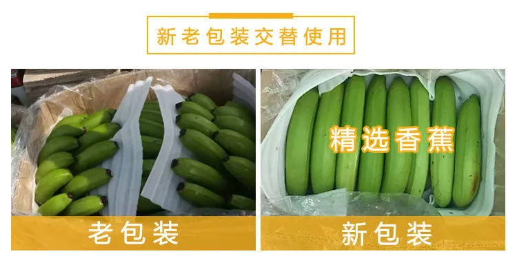 现货速发-高山甜香蕉-云南香蕉整箱10斤自然熟当季水果新鲜包邮十斤非广西小米蕉芭蕉