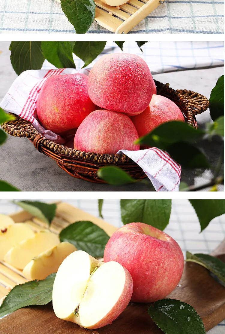 正宗烟台栖霞红富士苹果5/10斤 当季山东新鲜水果整箱批发包脆甜