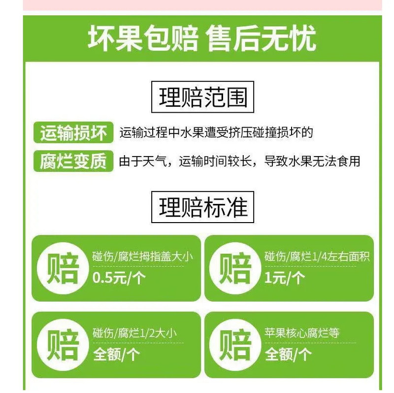 只售正宗脆甜-正宗山东烟台栖霞红富士苹果当季新鲜水果一级条纹大果脆甜多汁不打蜡多仓发货