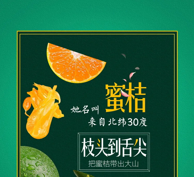 超值10斤装【新鲜蜜桔-现摘现发】橘子新鲜薄皮宜昌蜜桔孕妇当季水果酸甜青.皮.桔子现摘现发3/5斤