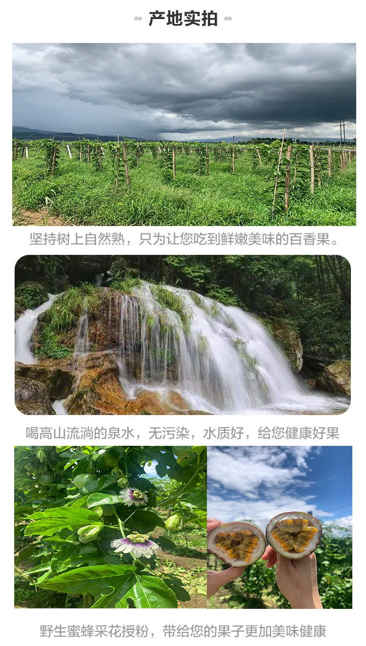 【送蜂蜜】百香果批发新鲜大果5斤 新鲜水果当季特.价.云南特.产.现摘.特.价.鸡蛋果