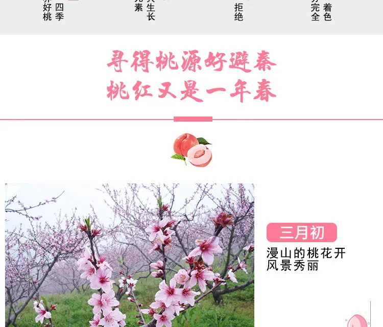 【品质农货】正宗陕西水蜜桃5斤新鲜桃子现摘现发水果毛桃孕妇脆桃非油桃蟠桃血桃