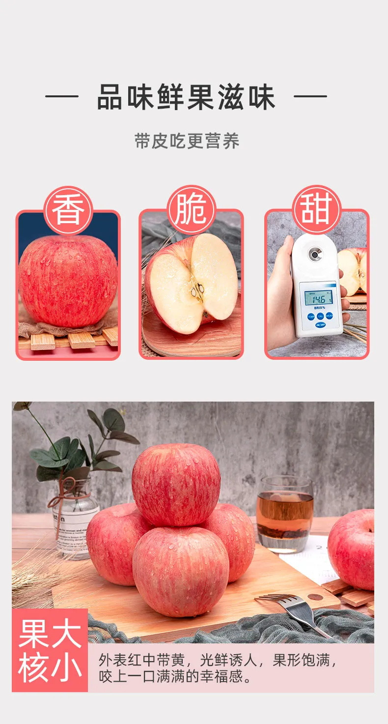 【龙山仙果 】正宗山东烟台红富士脆甜苹果当季新鲜水果3斤尝鲜整箱