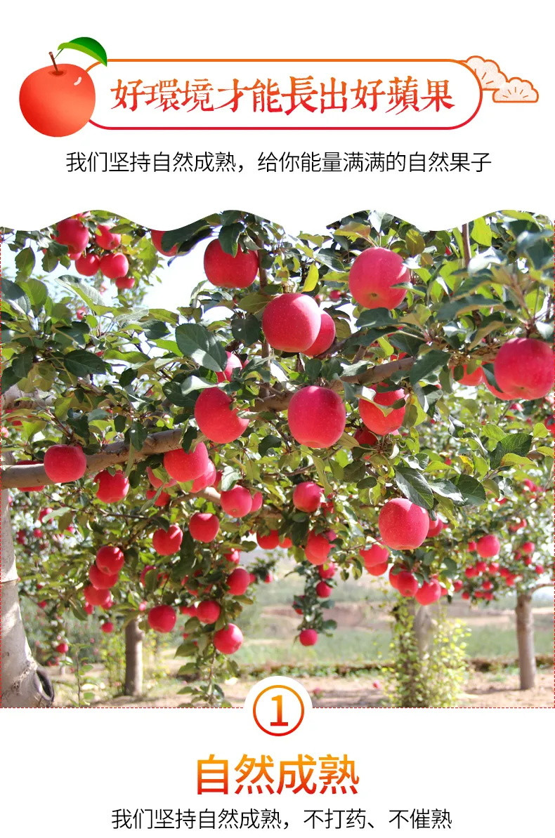 【爆甜阿克苏】苹果水果冰糖心丑苹果水果新鲜5/10斤当季水果新疆苹果阿克苏