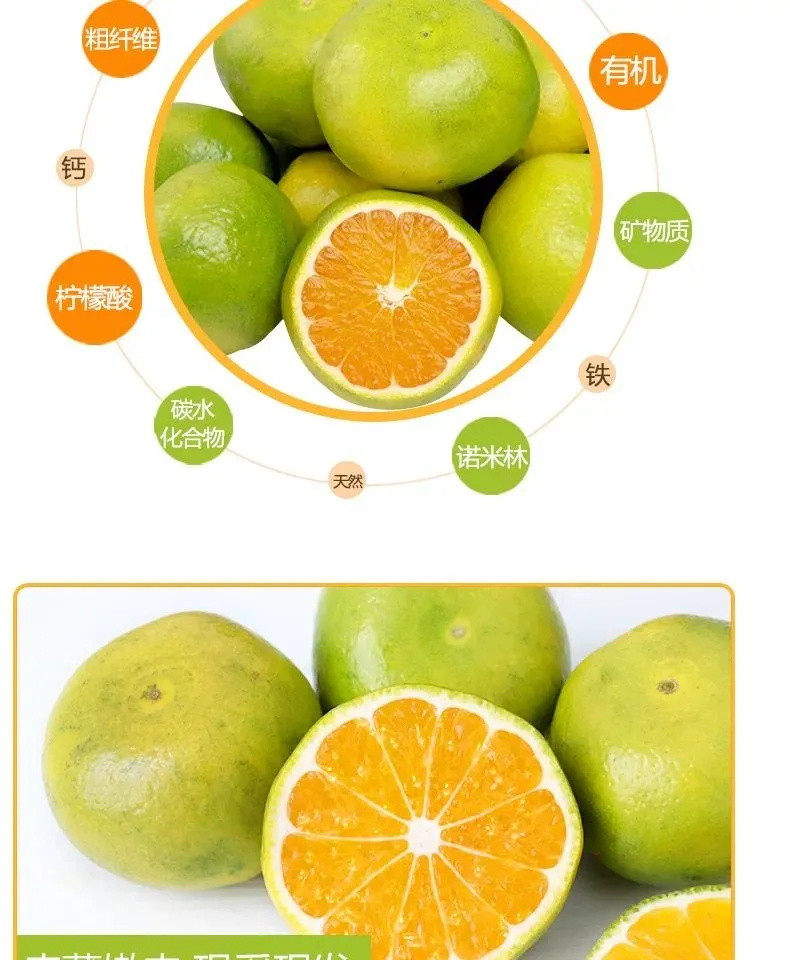 新鲜皇帝柑蜜桔子青.皮.橘.子.水果新鲜应季现摘薄皮酸甜柑橘孕妇水果批发