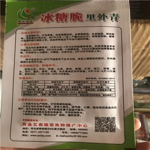 冰糖水果萝卜种子生吃脆甜农家蔬菜种孑四季播种阳盆栽绿萝卜种籽