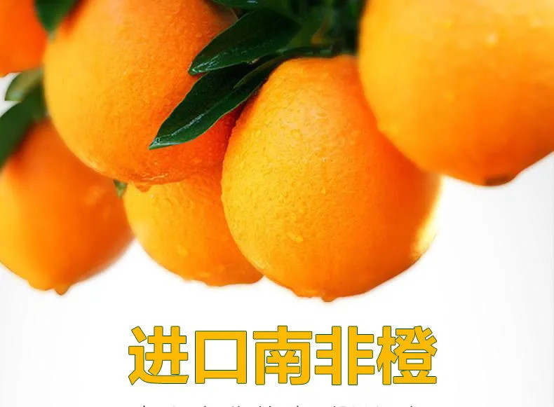 【超甜进口】进口橙子 当季新鲜水果夏橙脐橙甜橙冰糖橙子5\10斤孕妇水果包邮