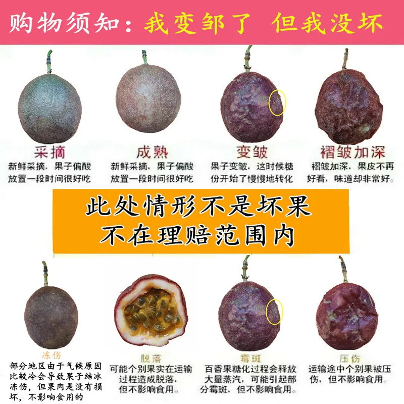 【送开果器】云南百香果西番莲现摘特大果5/12/2.5斤亚热带新鲜水果