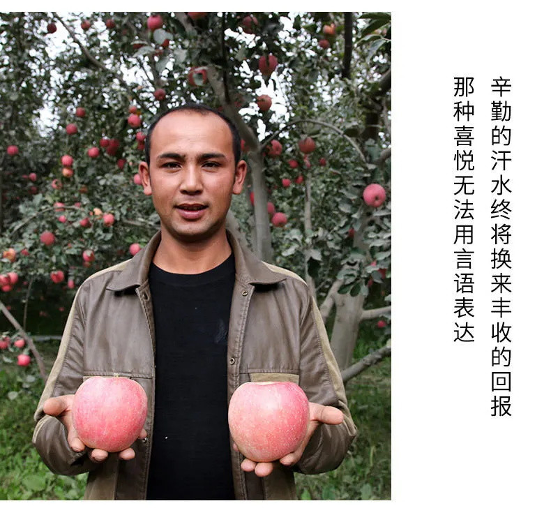 正宗超甜新疆阿克苏冰糖心苹果5-10斤装新鲜红富士丑苹果当季水果批发包邮