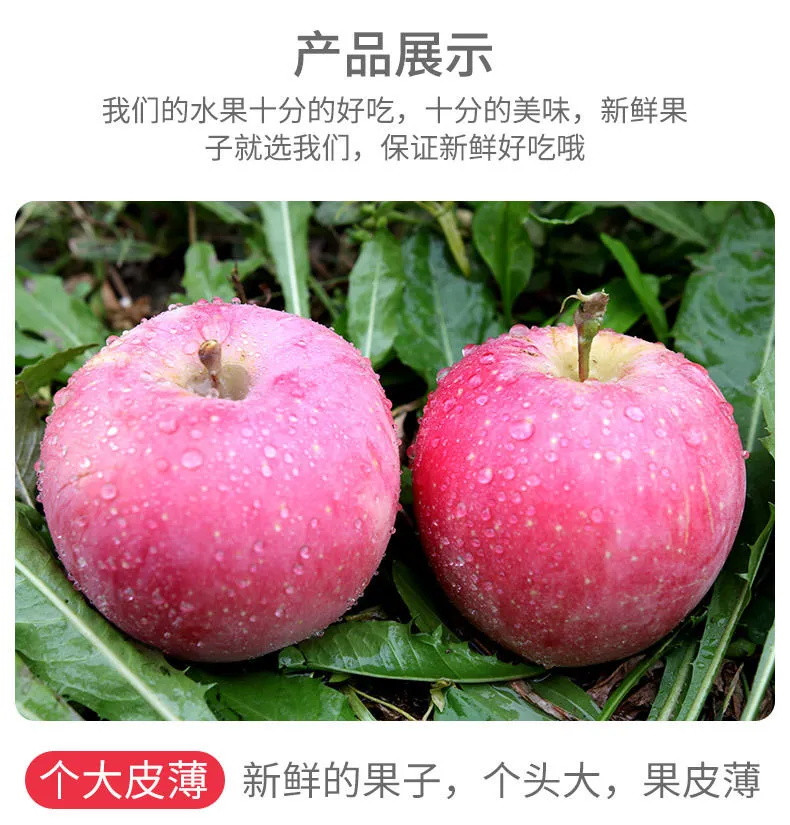 正宗超甜新疆阿克苏冰糖心苹果5-10斤装新鲜红富士丑苹果当季水果批发包邮