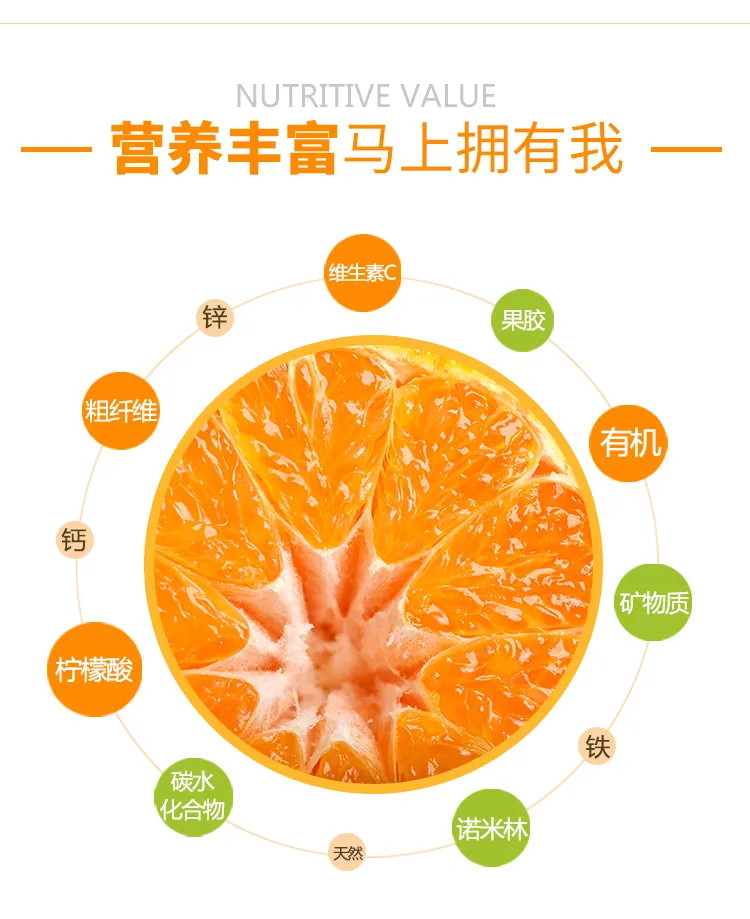 【新鲜精选大果】蜜桔新鲜橘子水果 现摘现发柑橘柑子桔子孕妇水果 3/5/9斤装