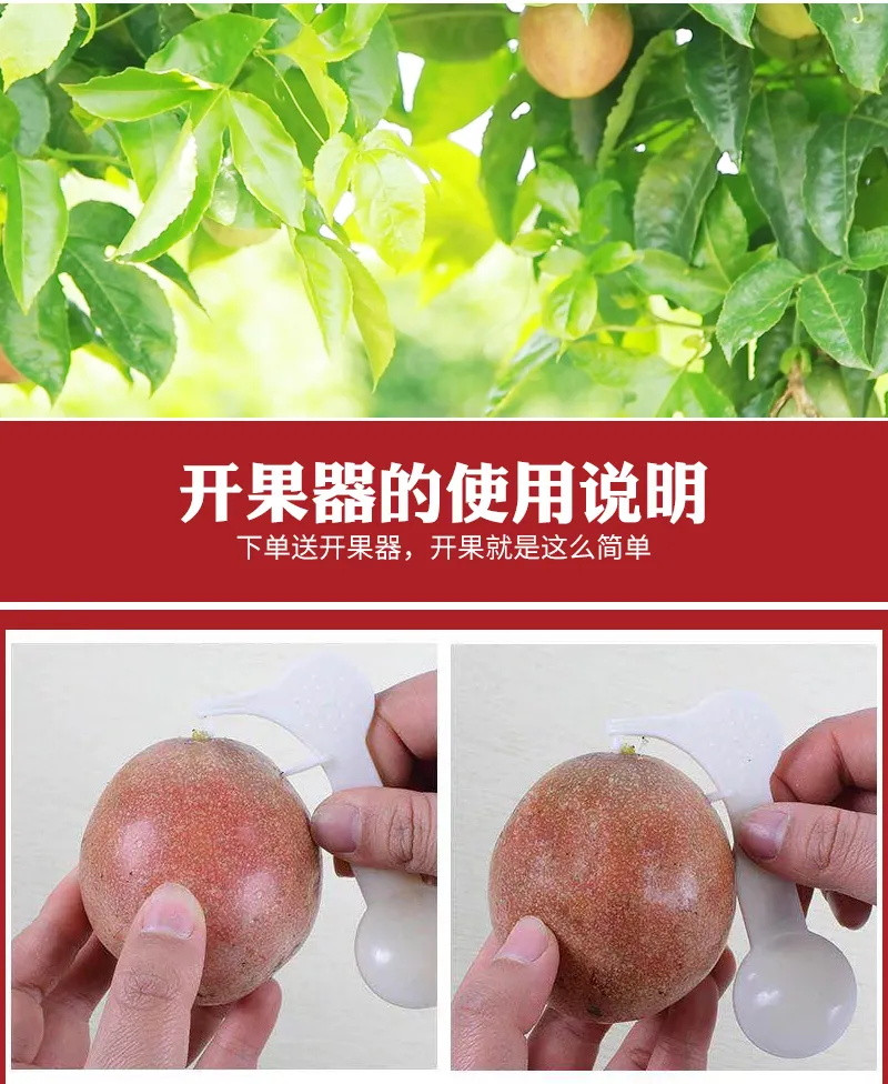 【好甜-送开果器】正宗广西百香果大果5斤装2/3斤12个新鲜水果酸甜果大多汁果园直发现摘现发实惠包邮