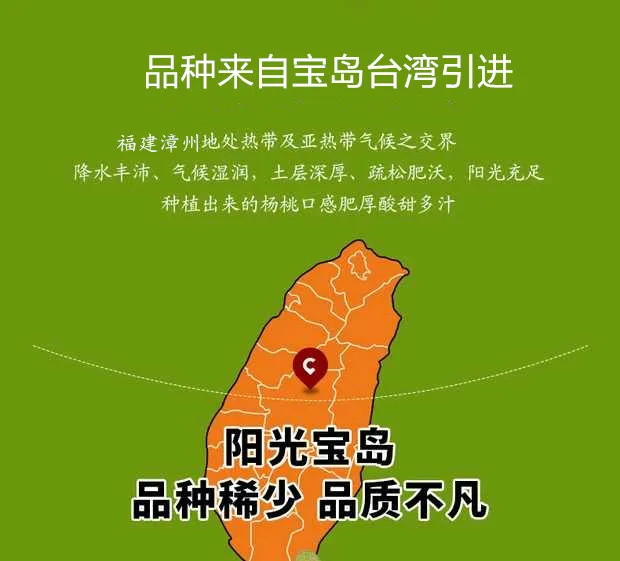 【农家自种-台湾红龙杨桃-爆甜】福建杨桃新鲜当季水果树上熟红龙杨桃台湾鲜杨桃海南产地直发包邮