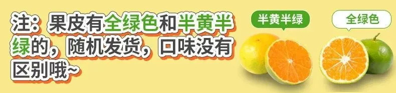 产地直发-鲜甜多汁蜜橘当季新鲜水果批发薄皮桔子孕妇青.皮.橘子精选大果10斤现摘现发包邮