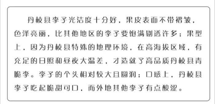 新鲜现摘-果园直供-四川宜宾脆红李土李子脱骨李空心李非半边红青脆李妇开胃现货包邮