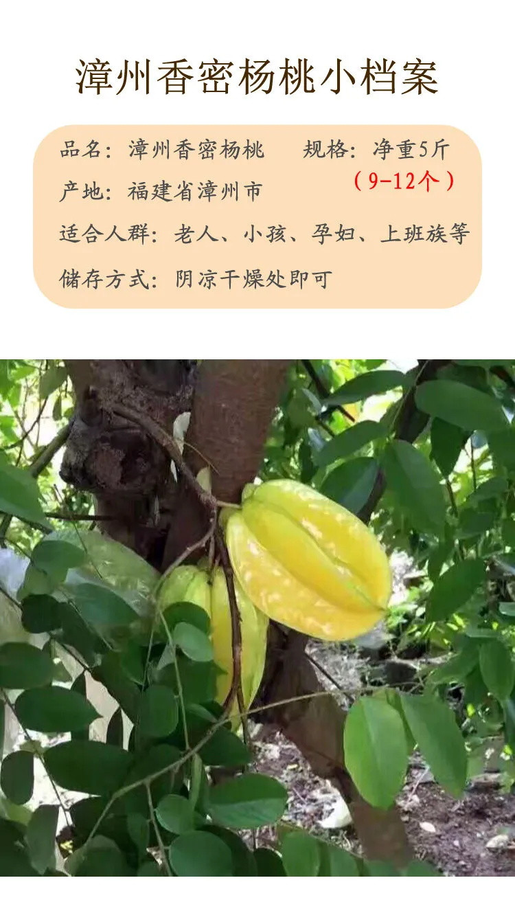 【现货现发-小编推荐】漳州杨桃新鲜应季热带水果新鲜孕妇当季整箱酸甜水果红阳桃鲜洋桃