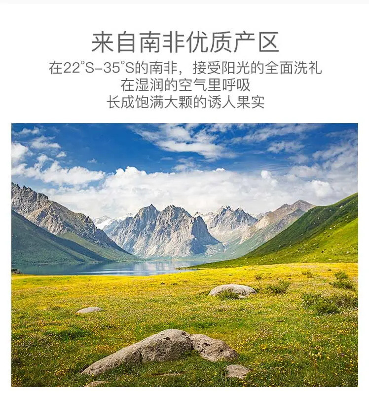 【新品热卖-爆款推荐】碧根果奶油味50g坚果干果休闲零食小吃特产长寿果500g零食大礼包